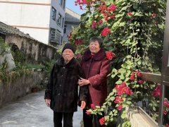 反映一款名为“投资中PP 